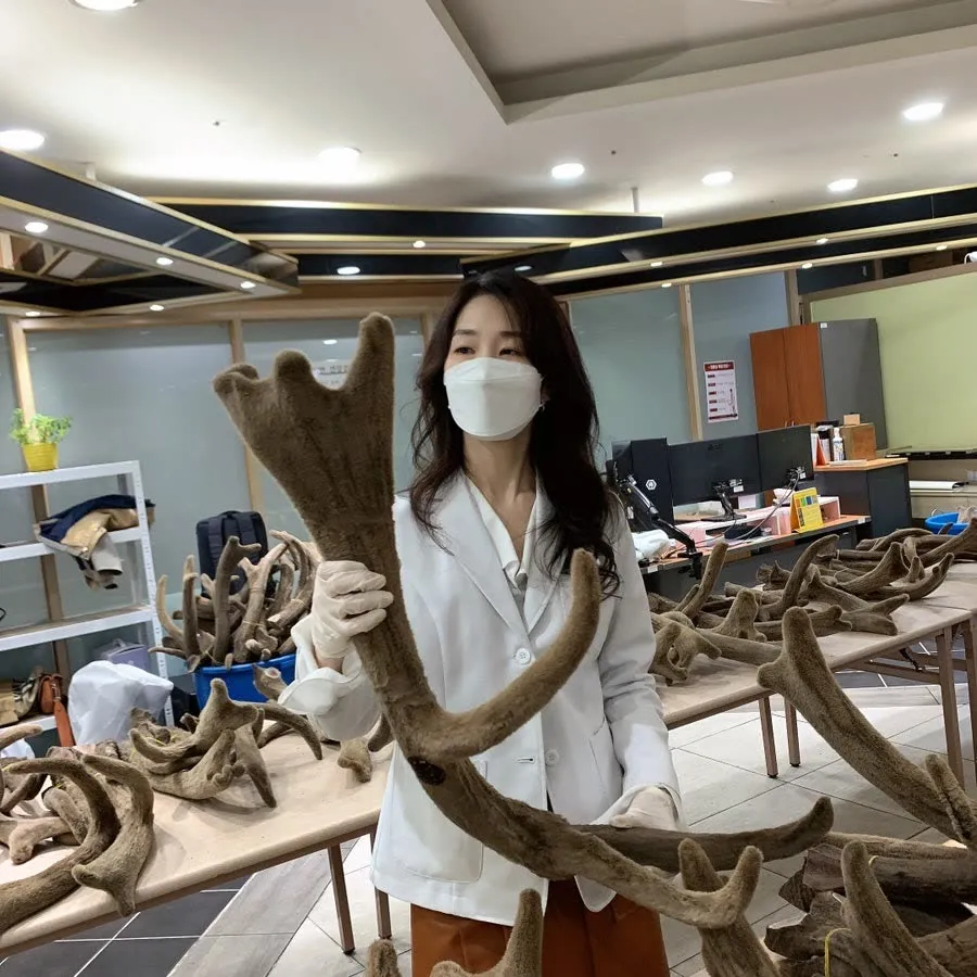 러시아 아바이스크 현지에서 원용을 선별하는 김예로미 원장